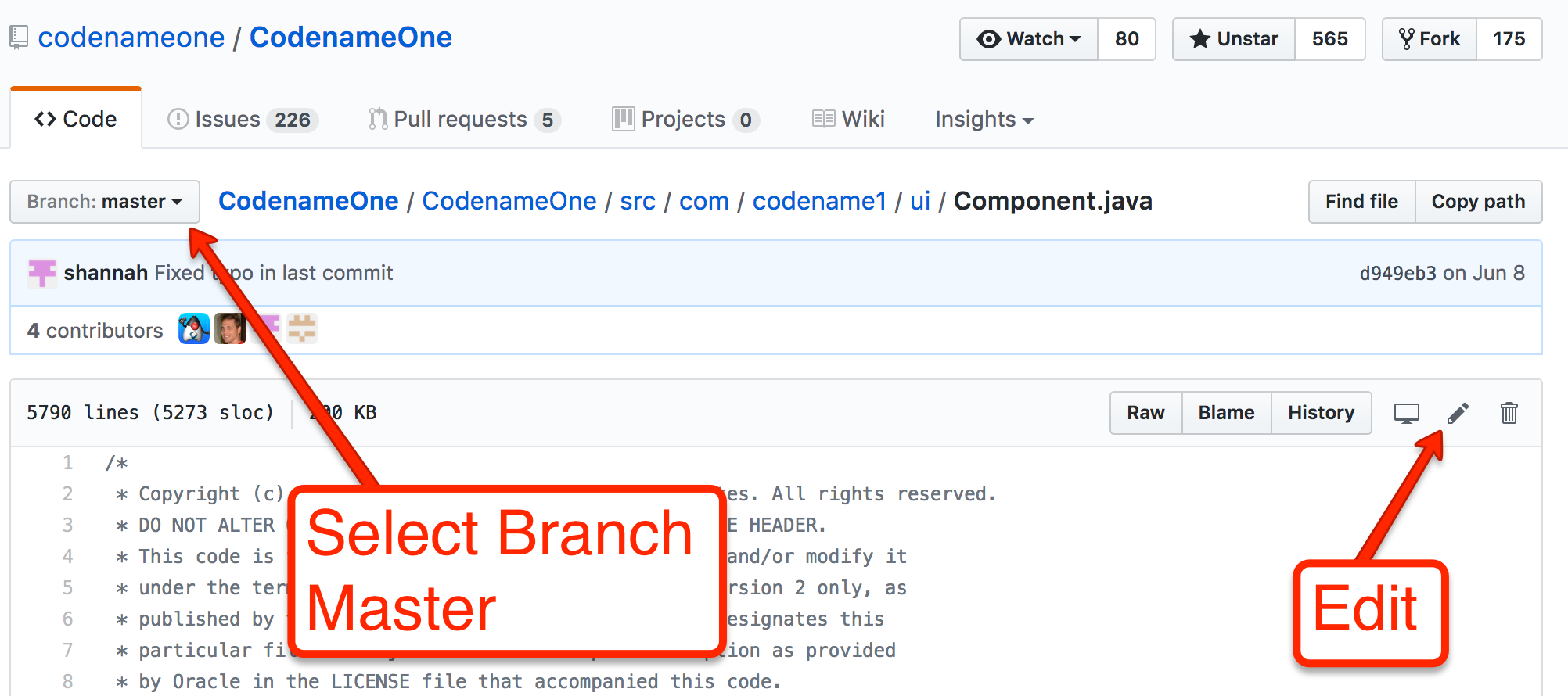 The combo box to select the master branch and edit button for the source file