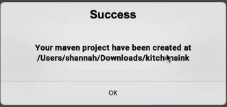 success-kitchen-sink