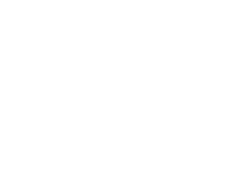 Codename One logo